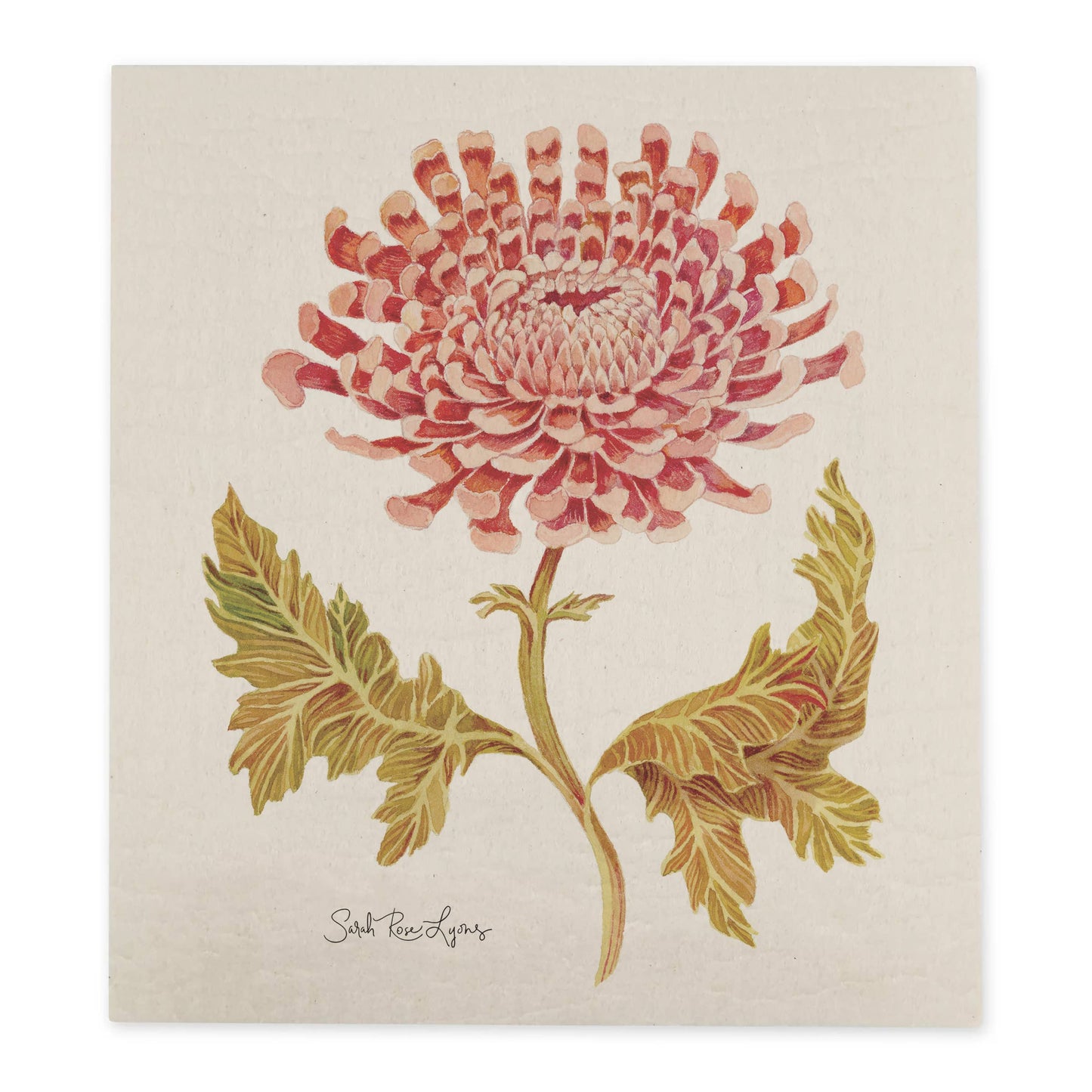 Chrysanthemum Swedish Dishcloth