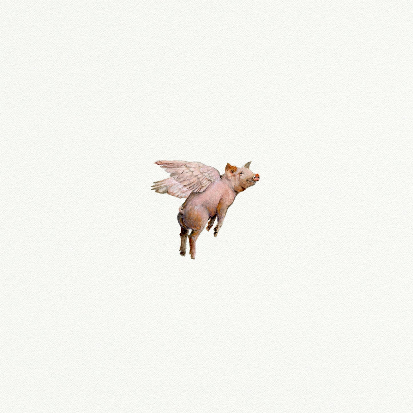 Flying Pig Miniature Watercolor Painting - Art Print