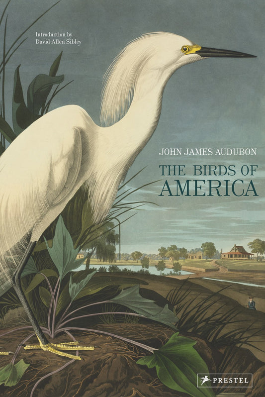 Birds of America John James Audubon