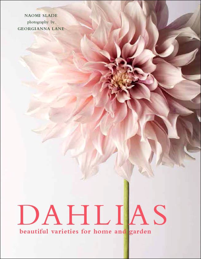 Dahlias Beautiful Varieties for Home and Garden Naomi Slade