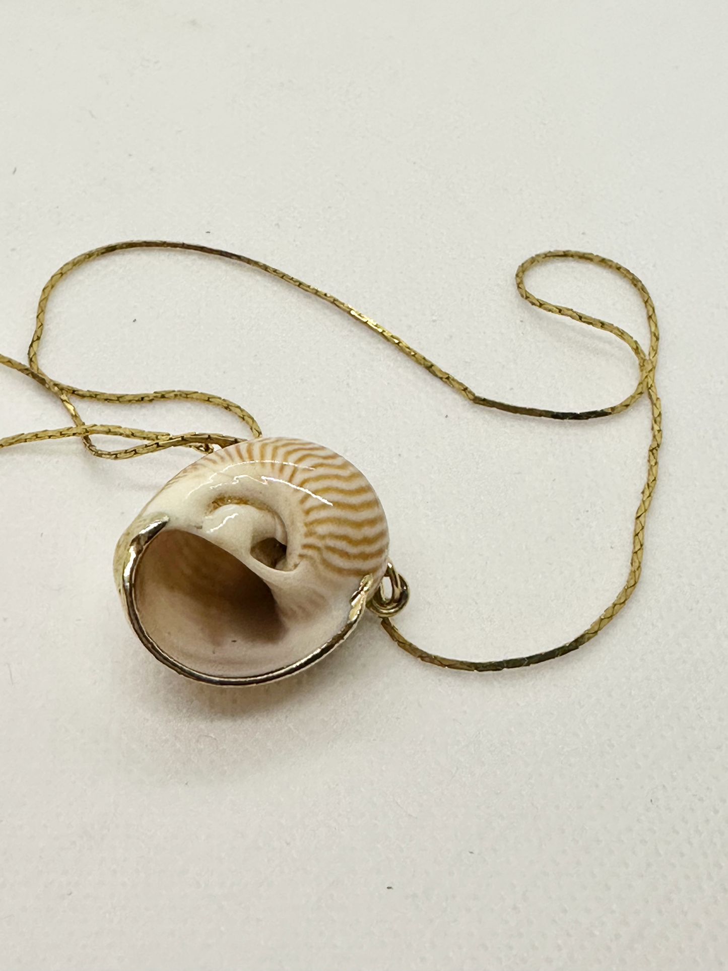 Vintage Shell Necklace