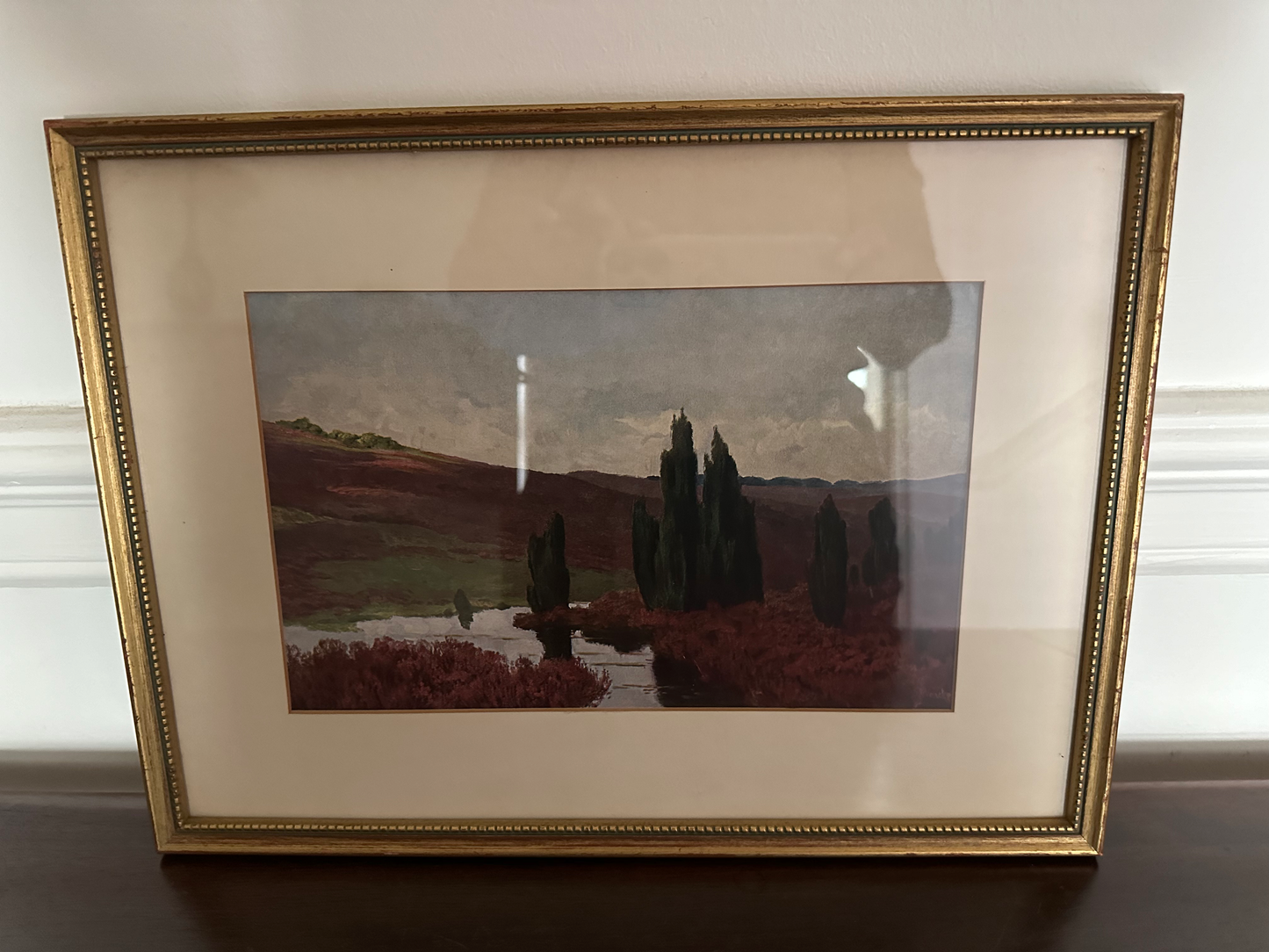 Framed Landscape Print