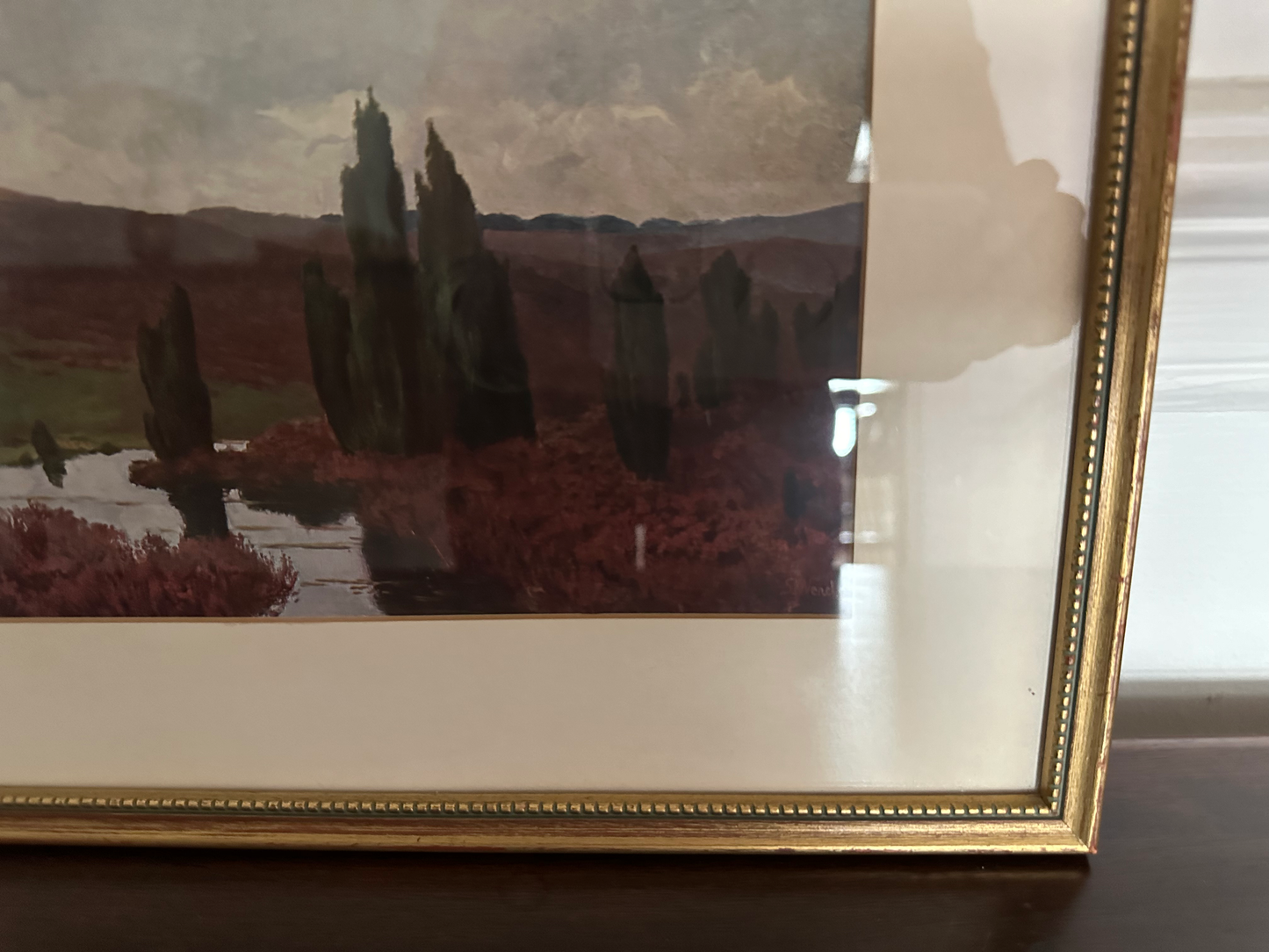 Framed Landscape Print