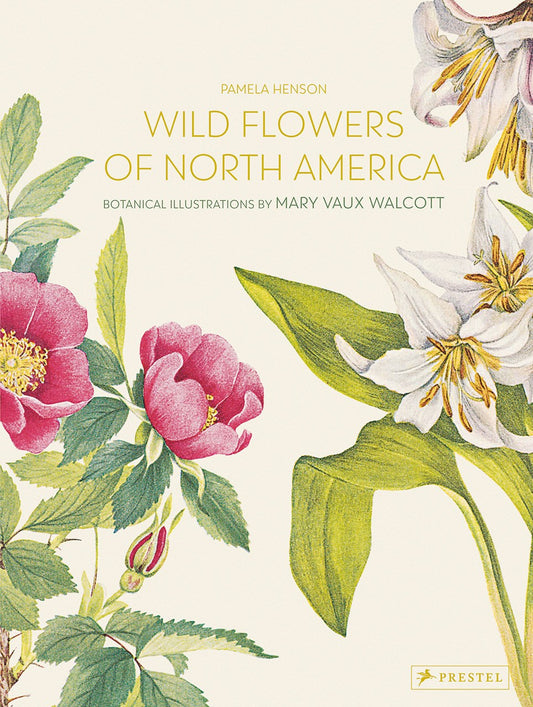 Wild Flowers of North America Botanical Illustrations by Mary Vaux Walcott