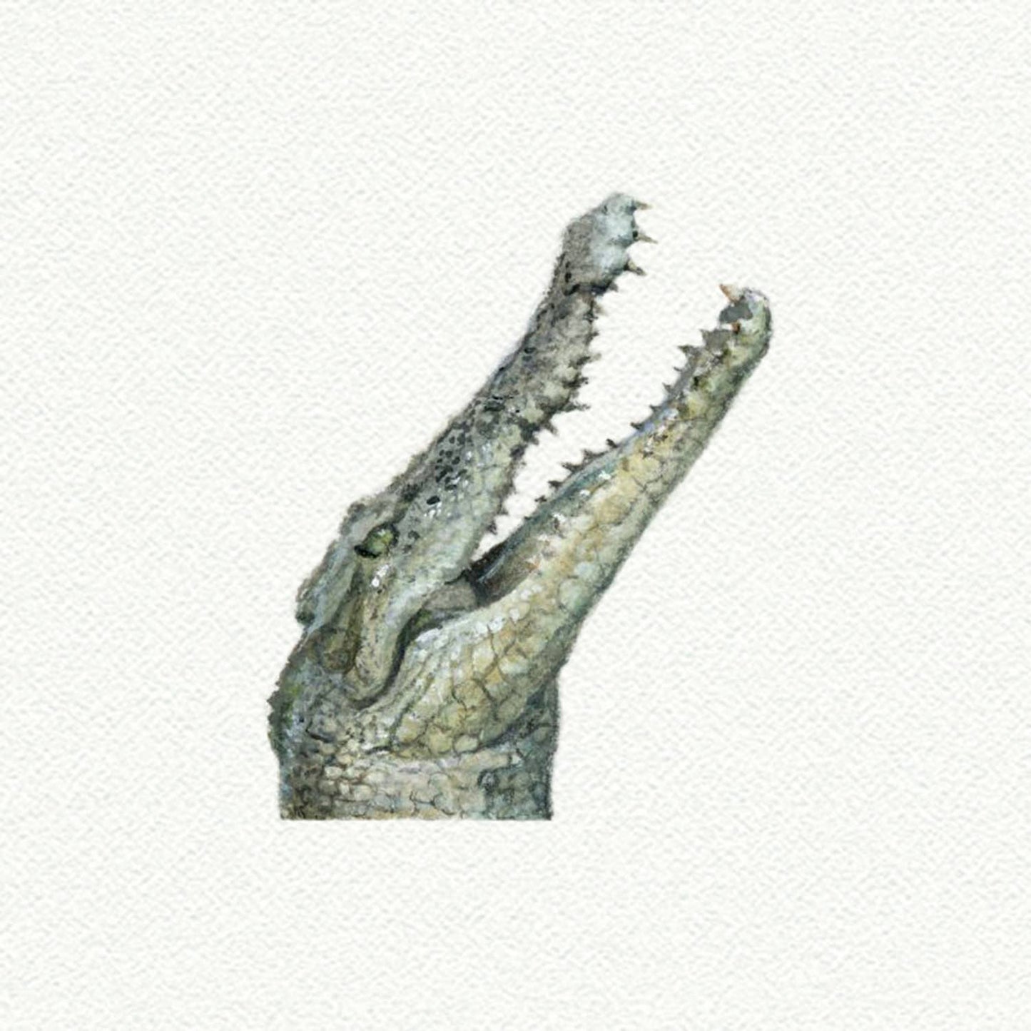 Crocodile/Alligator Miniature Watercolor Painting-Art Print