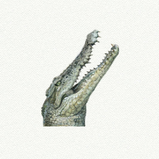 Crocodile/Alligator Miniature Watercolor Painting-Art Print