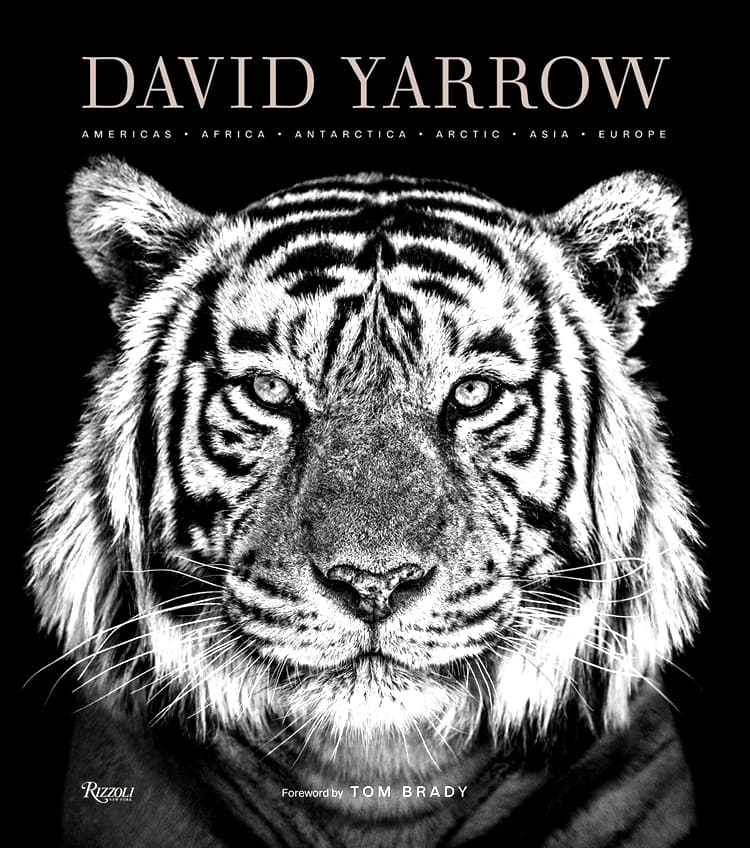 David Yarrow Photography Americas • Africa • Antarctica • Arctic • Asia • Europe David Yarrow