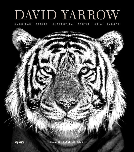 David Yarrow Photography Americas • Africa • Antarctica • Arctic • Asia • Europe David Yarrow