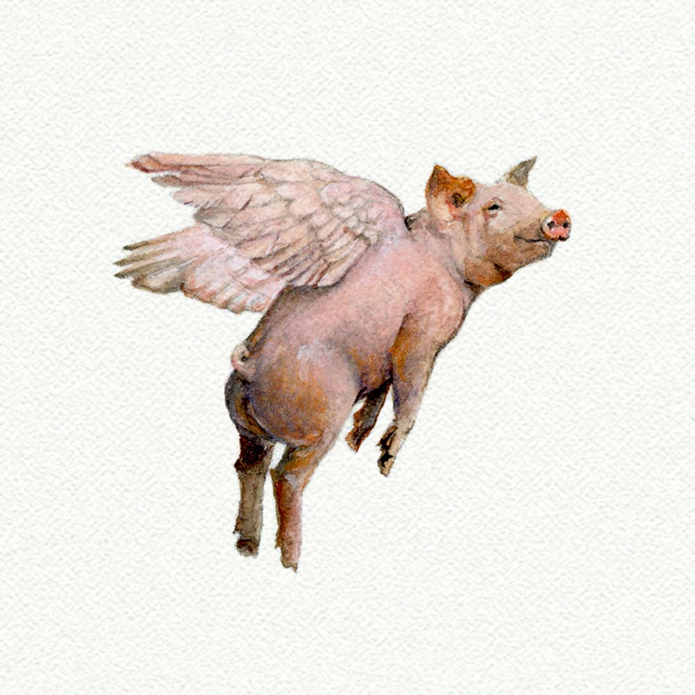 Flying Pig Miniature Watercolor Painting - Art Print