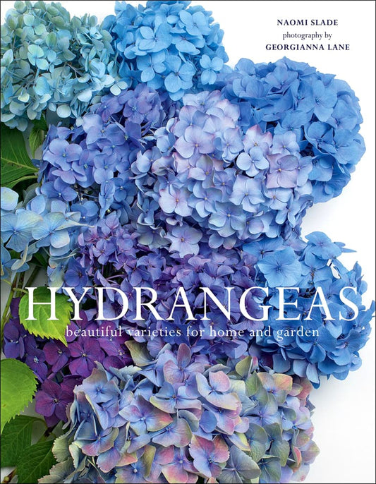 Hydrangeas Beautiful Varieties for Home and Garden Naomi Slade